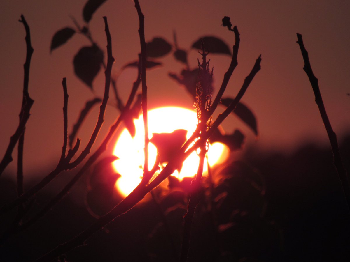 GMMS Student Government tweet media