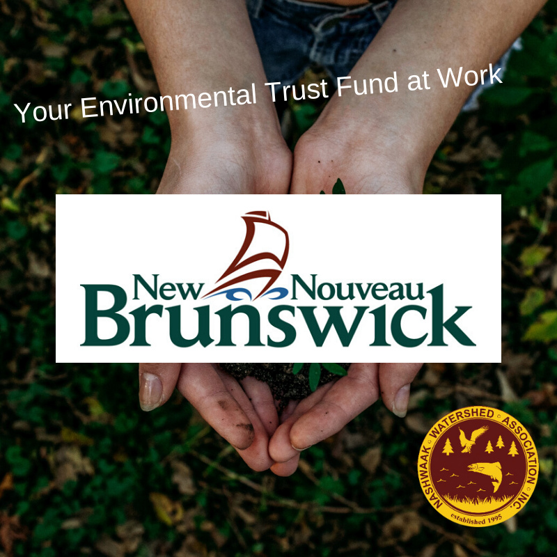 NashwaakWater's tweet photo. At times like these we appreciate the early funding announcement supporting our work in the watershed. The NB Environmental Trust Fund generously contributed a total $100,000 to fund three projects in our watershed. 

https://t.co/54eJw543fe

#eauNBwater #mynashwaak #newbrunswick https://t.co/8QdONxbQXC