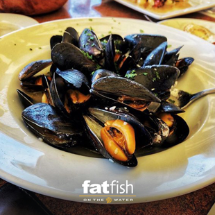 fatfishbistro's tweet photo. Let's shell-ebrate the good times. Tag 3 seafoodies to let them know we are back soon! https://t.co/Y3mbqau2Vz #fatfish2020 #dinelocal https://t.co/1JMUjoBdzF