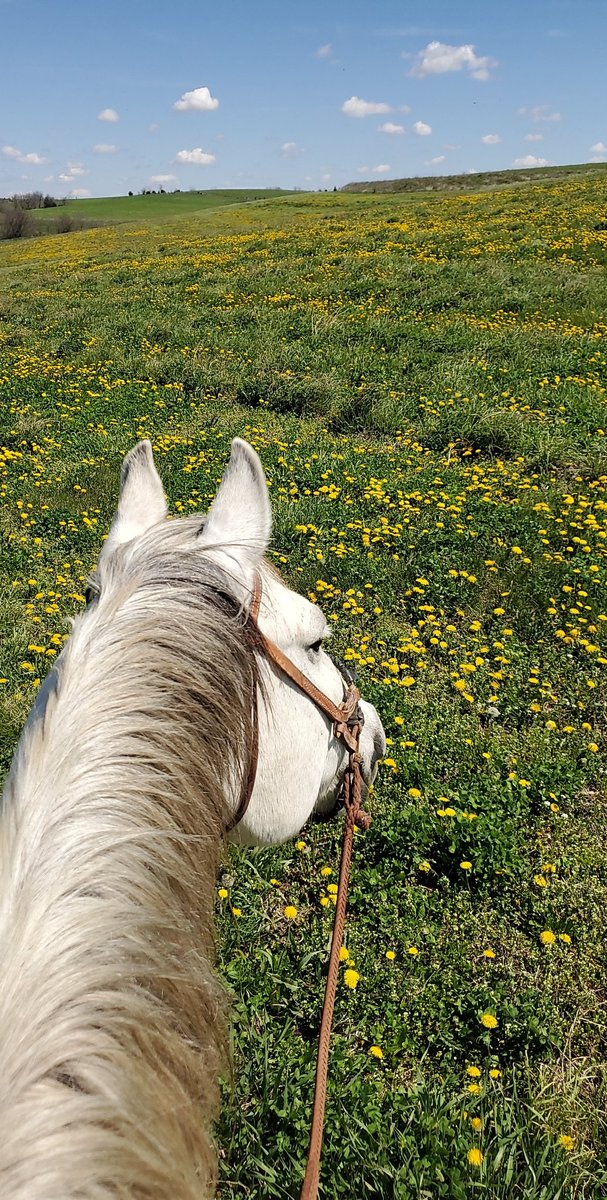 Yesterday I got to be in one of my favorite places while enjoying the beautiful weather!