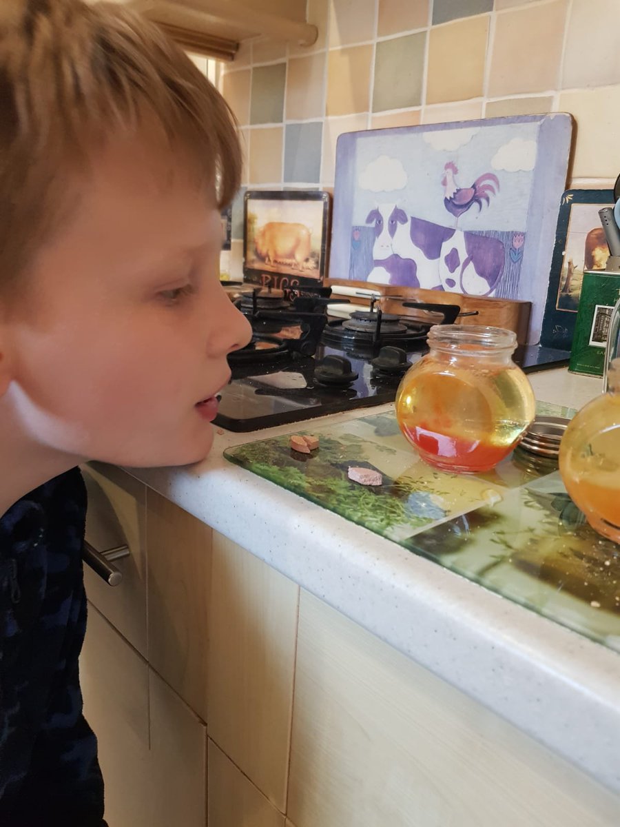 Today's  #homeschooling science lesson for Samual!

@mbkprimary <a href="/olympustrust/">Olympus Academy Trust</a>