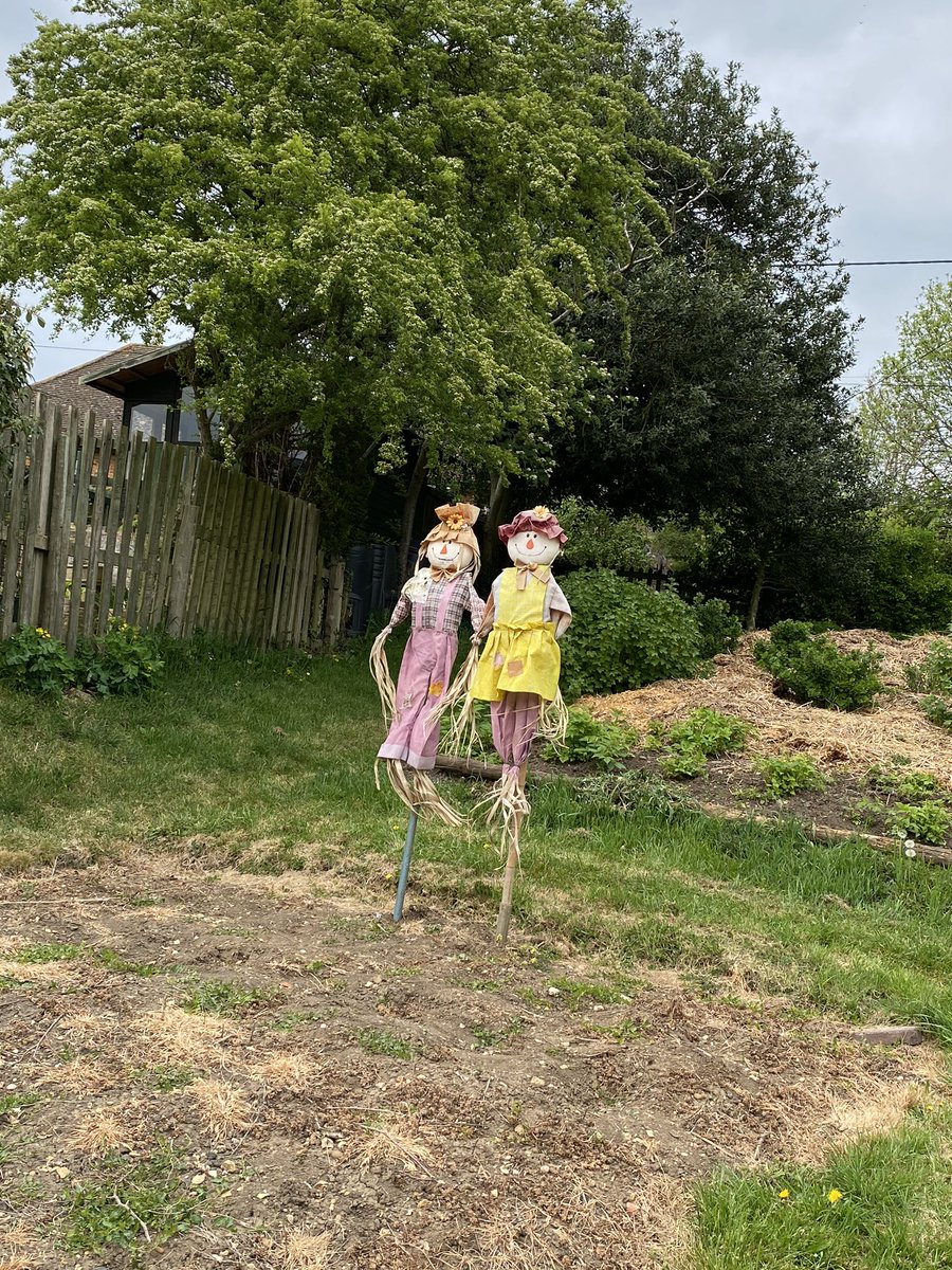 littlemisslee23's tweet image. #mondaywalk how cute are these guys that someone has put up on the village allotments ☺️☺️