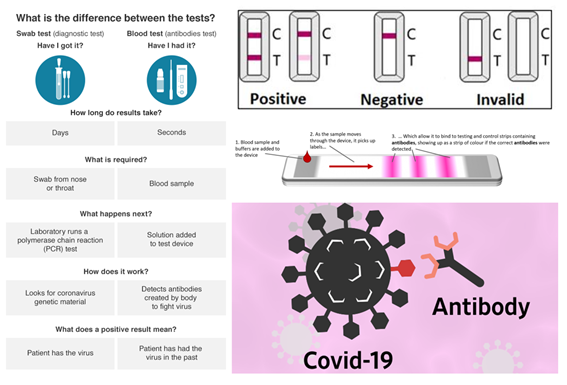 A serological test is used to know if an individual has contracted the  #SARS_COV_2 virus by looking for antibodies in a blood sample. However, it takes several weeks before you produce them, so this test is unreliable in the early stages of the illness  https://blogs.sciencemag.org/pipeline/archives/2020/04/02/antibody-tests-for-the-coronavirus