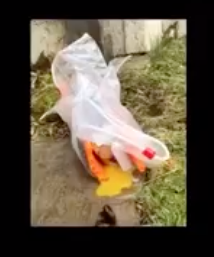 April Hunt tweet media