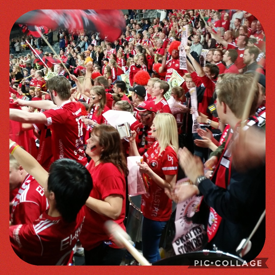 MLning's tweet photo. 27 april 2019. Känslan när man firar ett SM-guld i ett sällskap med fler än 50 personer. I Globen, "den andra hemmaborgen"! ❤🖤❤🖤 https://t.co/JIOgksaxcI