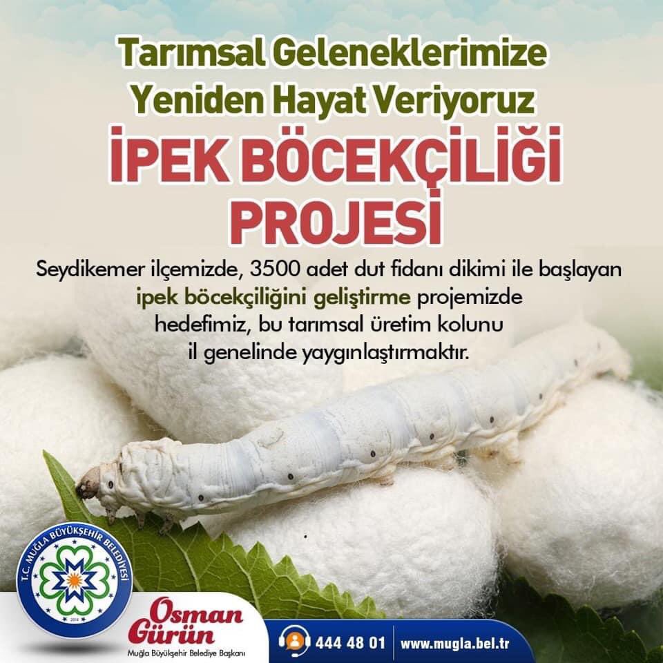 Osman Gürün