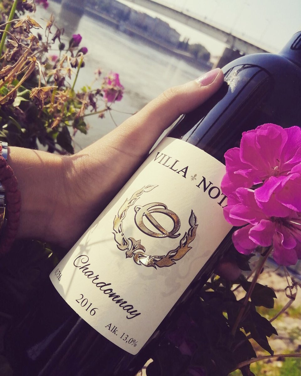 Sunce, proleće i arome Ville Chardonnay. 🍷🌼
-----------
Sun, spring and aromas of Villa Chardonnay. 🍷🌼
