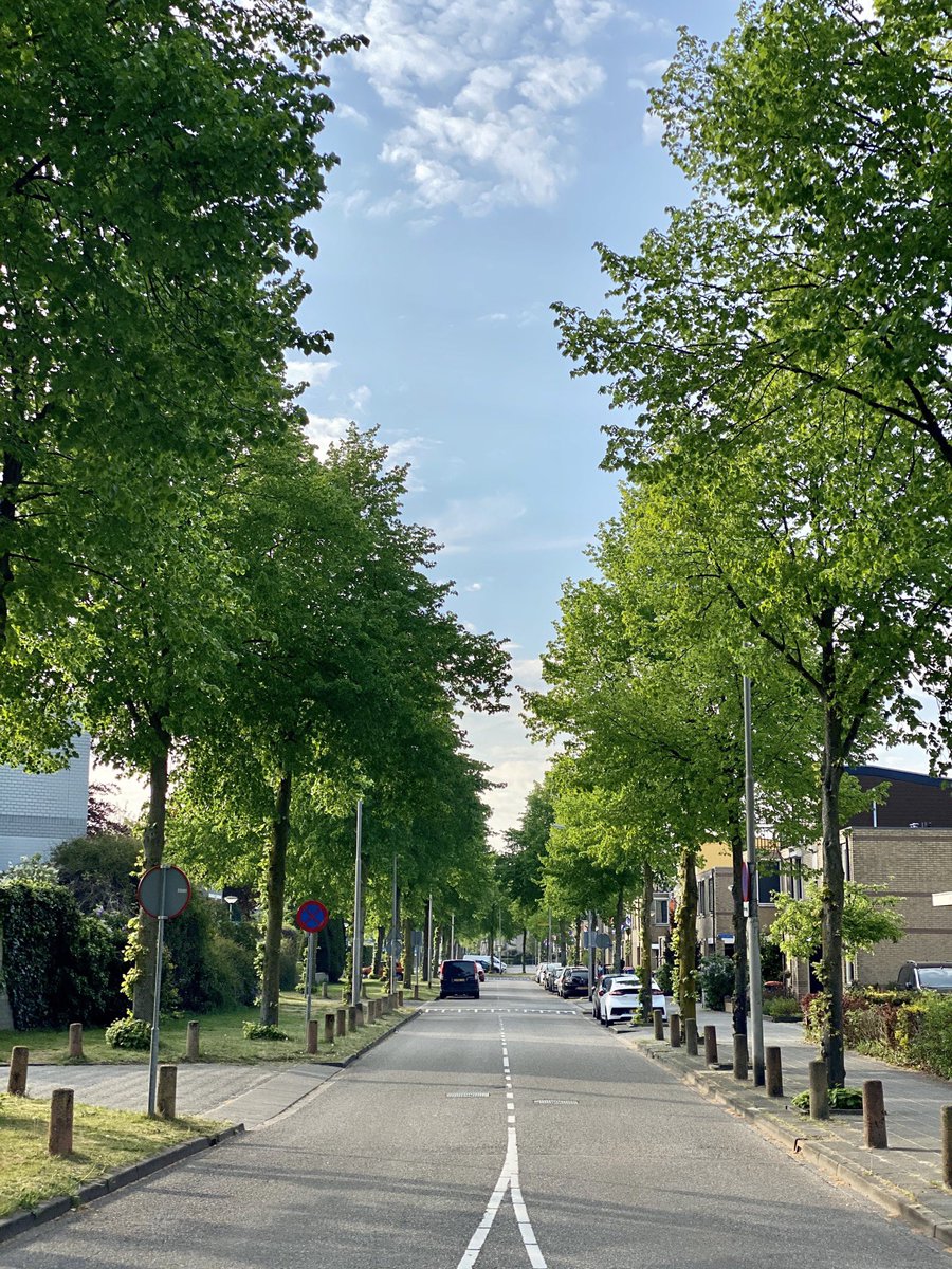 TitheSamuel's tweet photo. Happy Kings day! ❤️🎊📸Koningsdag) NL🇳🇱 
#photography #photo #picoftheday #nature #beautiful #picture #orange #love #sky #pic #smile #travel #amersfoort #bhfyp #photos #art #koningsdag #instagram #fitness #joy #thenetherlands🇳🇱 #sport #morning #all_shots #sun #holland #nederland https://t.co/Gb2dQIUYRu