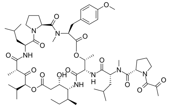Among the molecules that are being tested against  #Covid_19,  #plitidepsin commercialized by the Spanish company  @PhrmMar, has shown very effective against HCoV-229E, a close cousin of  #SARS_COV_2, in a series of tests at  @CNB_CSIC