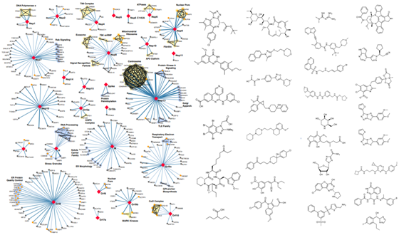 An international team of 22 laboratories has produced the first  #SARS_COV_2-Human Protein-Protein Interaction Map. The strategy has focused on known drugs to accelerate the development of an effective treatment.  https://www.biorxiv.org/content/10.1101/2020.03.22.002386v1.full.pdf
