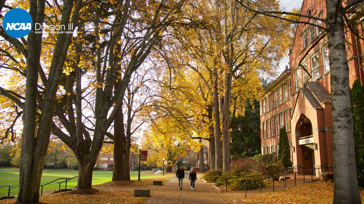 Where should a student-athlete go for help when experiencing mental illness?

Reach out to any trusted individual including a friend, coach or athletics administrator, or contact The National Suicide Prevention Lifeline at 800-273-8255. <a href="/NCAA_SSI/">Sport Science Institute</a> Resources on.ncaa.com/z5lpl