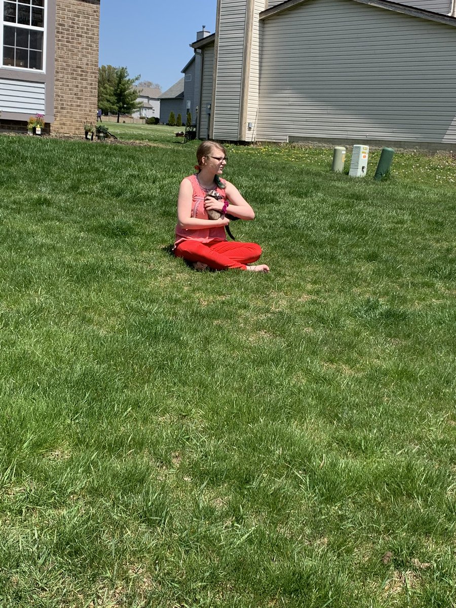 MrsN_PLSD's tweet photo. My heart is full ❤️ #harmonheroes #MyOhioClassroom #plsdproud @moore4minds @lyrics4learning @PLSD @PickHarmonKids @amycraycraft02 https://t.co/4vNvdFaNqU