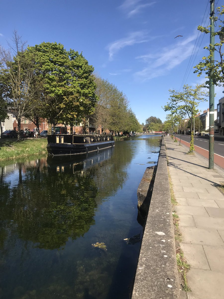 Grace-Ann Fallon tweet media