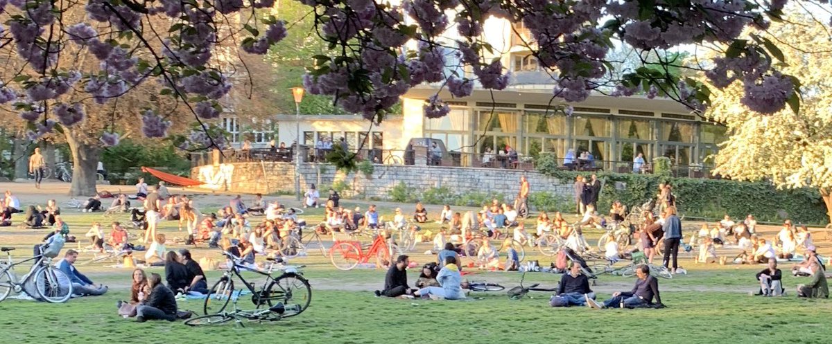 eg here’s our park today with a normal (ie slightly wide) phone lens. Everyone’s a couple metres apart. If I’d used a telephoto or even a mildly long lens it would look like a social-distancing infraction.