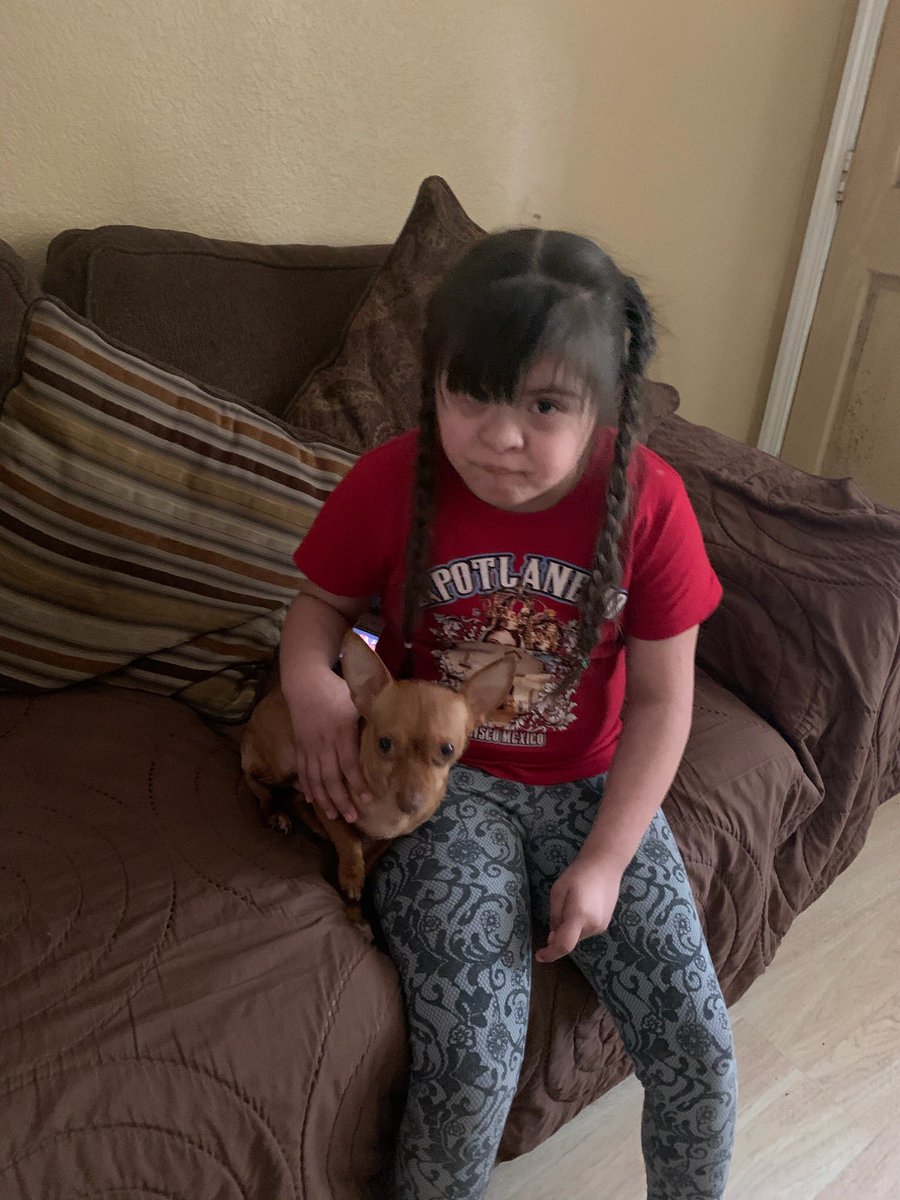 SANCHEZMARIA76's tweet photo. #Diademascotas #PetParade #challenge  #GPLAStrong #GPLAathome  Kevin, Natalie, Valeria and Jose. Showing at Pet Parade. For @HBGonzalezPLA #HappyMonday https://t.co/9yShs7bIJ9