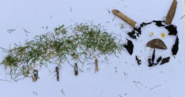 HallBaddow's tweet photo. Today's group of key worker children created some lovely nature pictures with things they found around the school grounds. Maybe you could try this at home too? #schoolclosureuk #keyworkers #nature #artwork #lockdown #greatbaddow #chelmsford #BHIS https://t.co/5NJNROyIq3