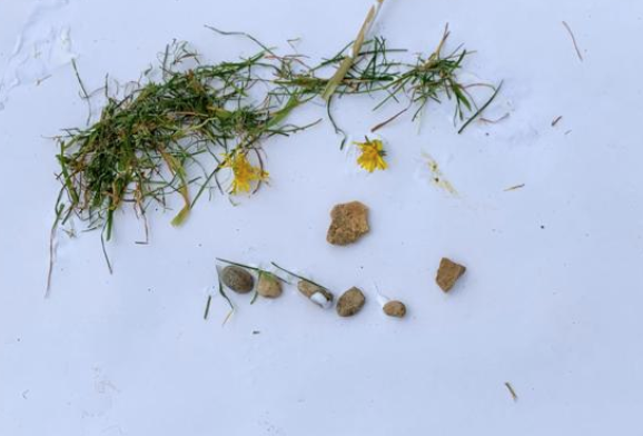 Today's group of key worker children created some lovely nature pictures with things they found around the school grounds. Maybe you could try this at home too? #schoolclosureuk #keyworkers #nature #artwork #lockdown #greatbaddow #chelmsford #BHIS
