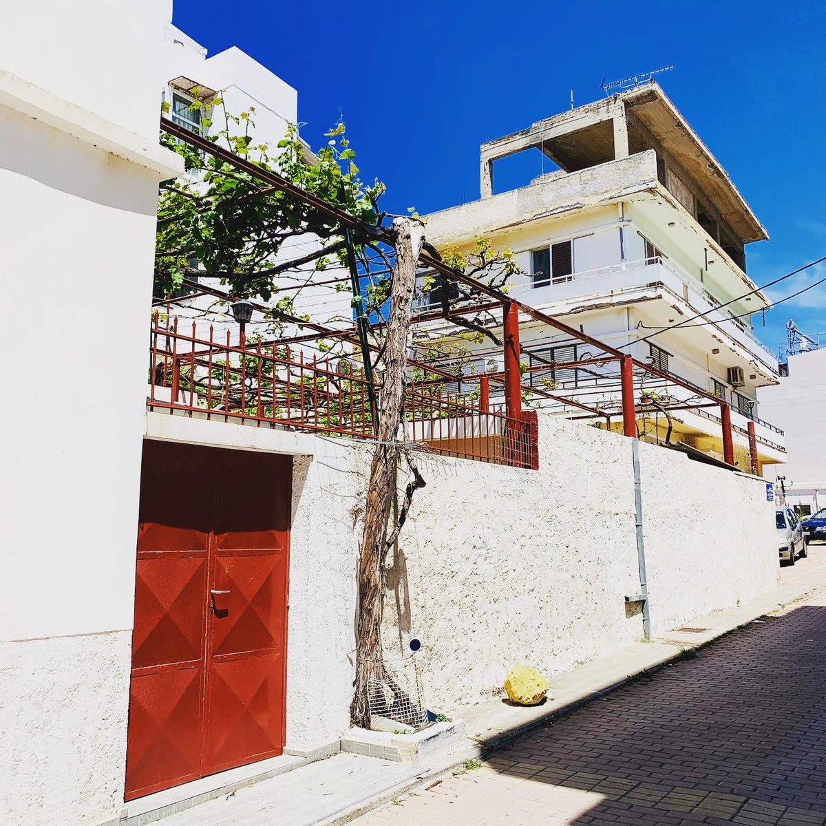 C2FinanciaLMtg's tweet photo. While we are in lockdown here in Crete, we can go outside and  exercise. Our very nice new friend has permission from his doctor to swim. The rest of us will have to wait until after May 4th. 
#affordable  #retirement #coronavirus 
#expat #greece #chania #crete https://t.co/kVCWCDHuD5