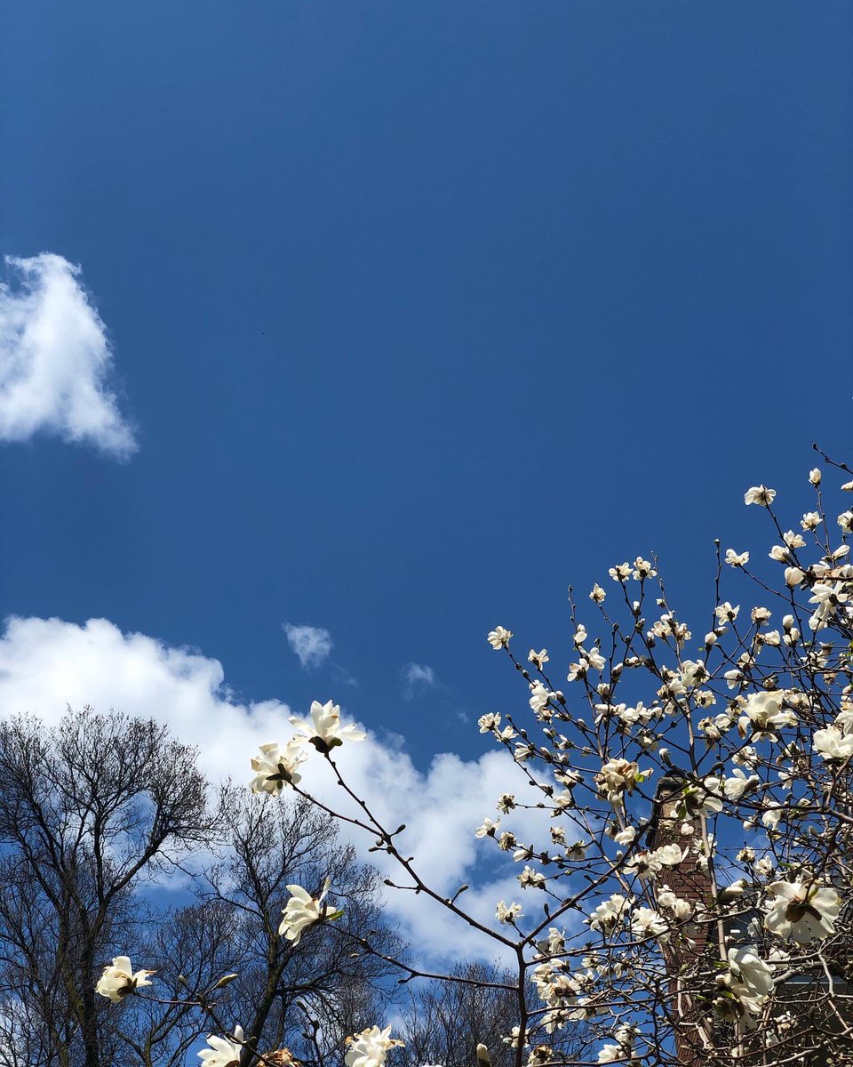 So much beauty, so much time