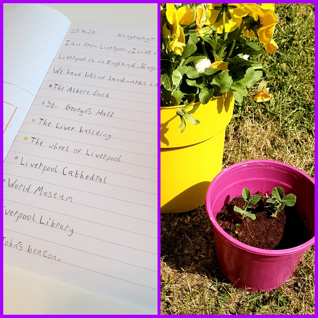 Jack has been busy today completing his school work and tending to his baby pea shoots ✏🌱🌈 <a href="/RimroseHope/">Rimrose Hope</a>