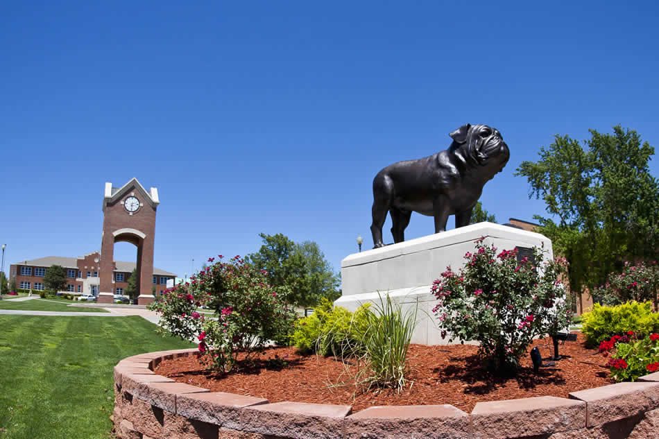 FrizzellAiden's tweet photo. I am blessed and excited to announce I am furthering my academic and baseball career and Southwestern Oklahoma State University. Thank you to all of my coaches, friends, and family for all they have done for me over the years. #GoDawgs https://t.co/Qxw6s4bzam