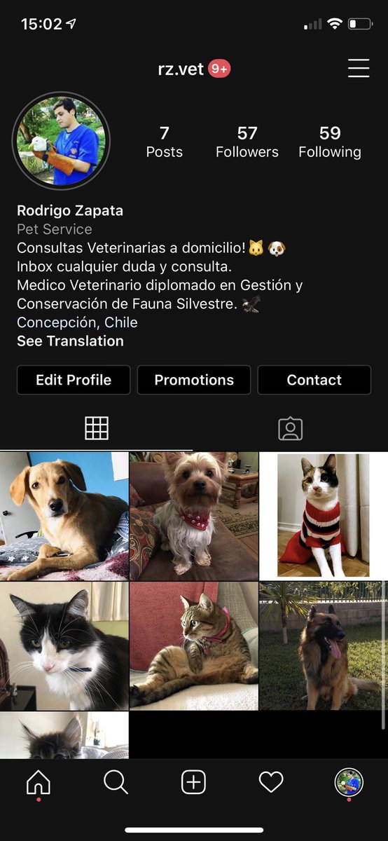 0_nandemonai's tweet photo. Hola soy medico veterinario resido en concepción y estoy haciendo domicilios! A todo sector cercano en conce! Me ayudaría mucho y me comparten! 😰❤️ https://t.co/avXrBReQyb