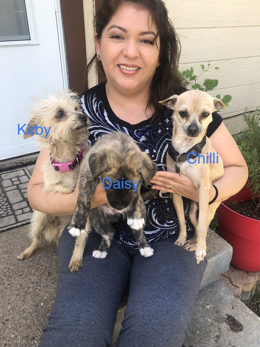 SANCHEZMARIA76's tweet photo. Pet parade ⁦@HBGonzalezPLA⁩  #PetParade #challenge #DIaDeMascotas #GPLAStrong https://t.co/rAkOEp1P6K