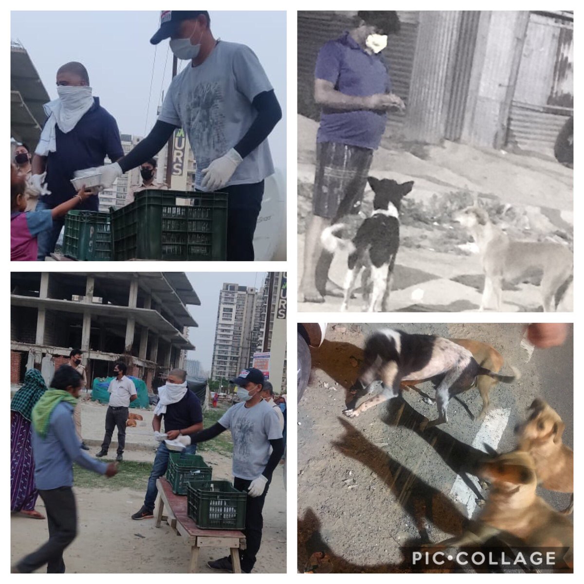 rashmip1's tweet image. लॉक डाउन के 31 वे दिन भी नेफोमा टीम ने  मानव धर्म निभा कर सभी के भोजन की व्यवस्था की। @NEFOMAncr @OfficialGNIDA @DhirendraGBN @tejpalnagarMLA @surendrasnaagar @PANKAJPARASHAR_ @nbhooshan @dmgbnagar @CP_Noida #Covid19India #coronawarriers