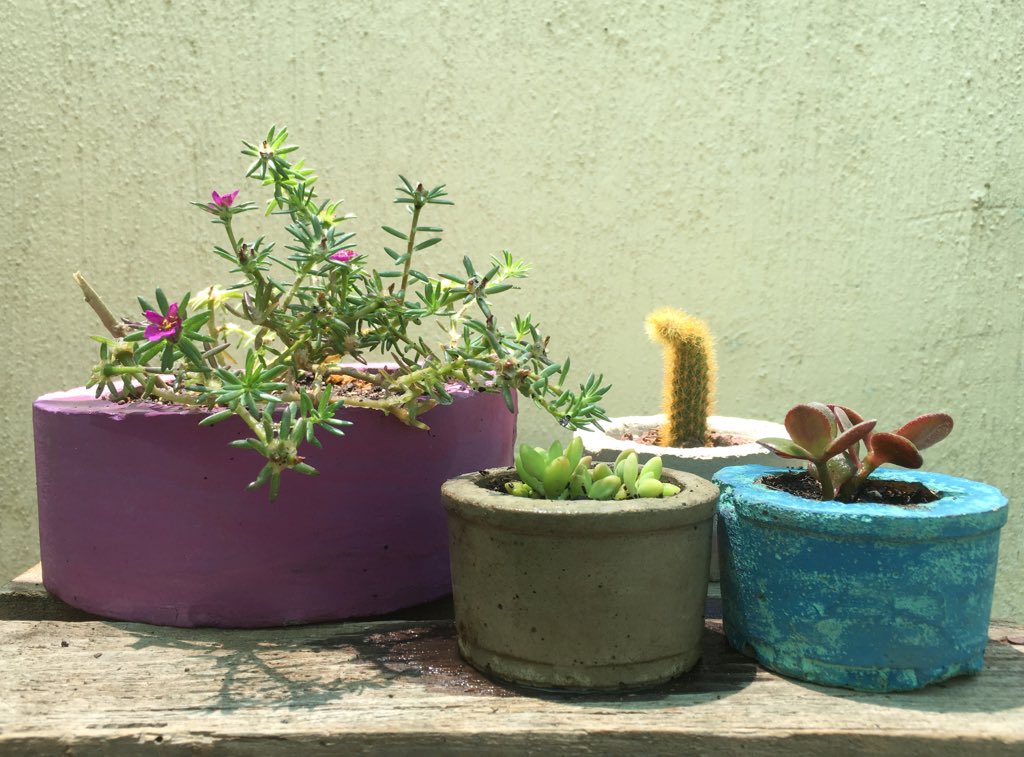 matitasmx's tweet photo. Las plantas y su capacidad de curar el alma. 🌱💕 https://t.co/yR7UDfU94W