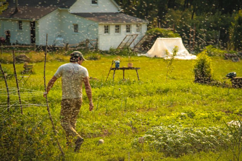 MofCap's tweet image. Seven building blocks for a #postcorona world. “With regular life on pause, we have a chance to stop &amp;amp; question the path we are taking at the deepest level“ opendemocracy.net/en/transformat…
Read Jason Angell’s 23-page essay, “Building the new world,“ here: static1.squarespace.com/static/551bf6b… @BCCcuny