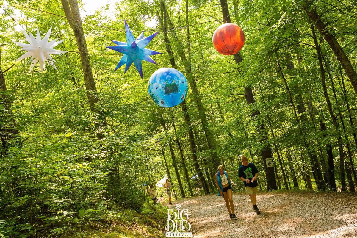 Big Dub Festival tweet media