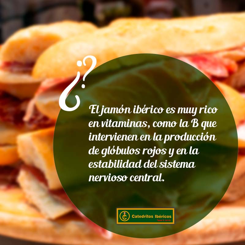 Catedritos Ibéricos tweet media