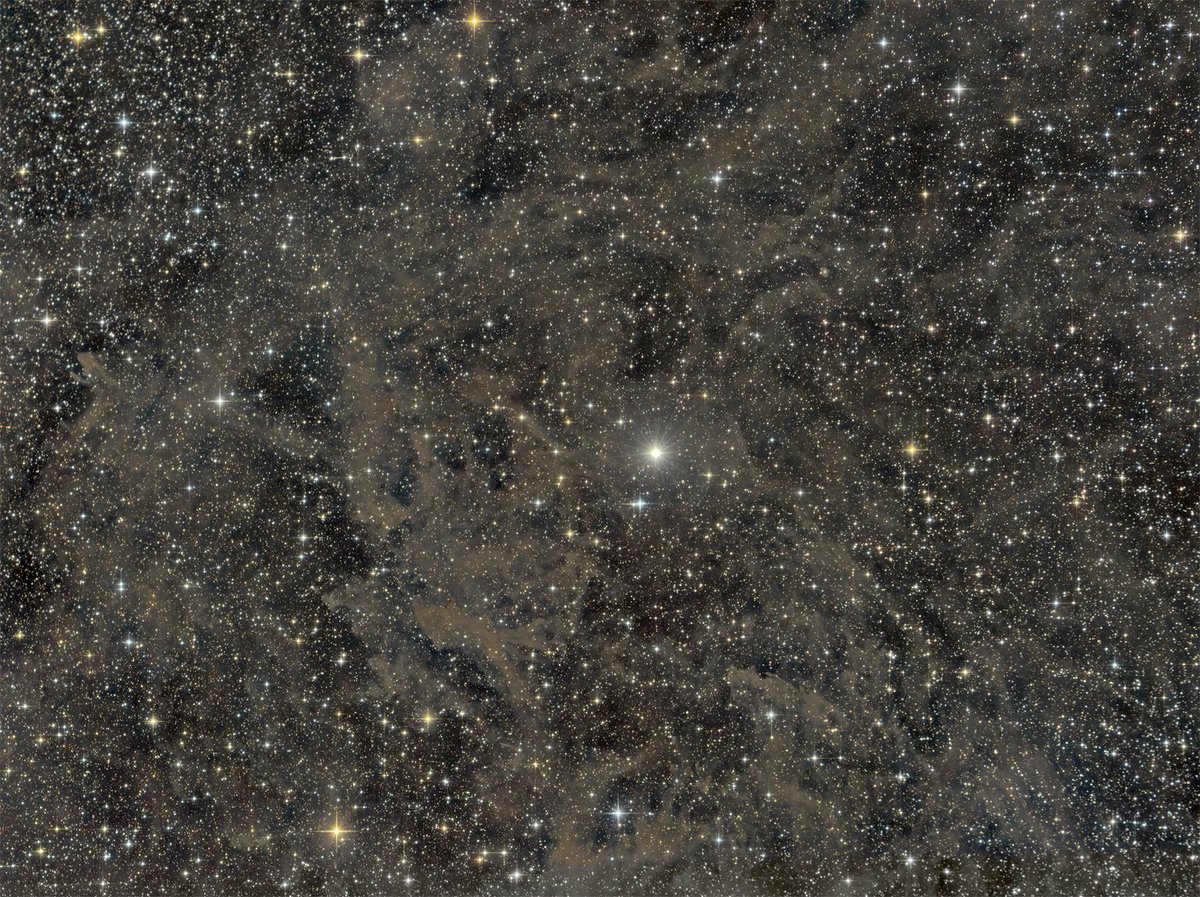 KeefBram's tweet photo. 30hrs looking at #Polaris reveals the Intergrated Flux Nebula #IFN illuminated by the all the stars in our galaxy. 15hrs Lum &amp; 15hrs RGB using a Samyang 135mm at f2.4 &amp; @Atikcameras 383L+ mono &amp; @zwoasi #294MCpro #thephotohour #lancashire  #Astrophotography @skyatnightmag https://t.co/HylZVwpwPO