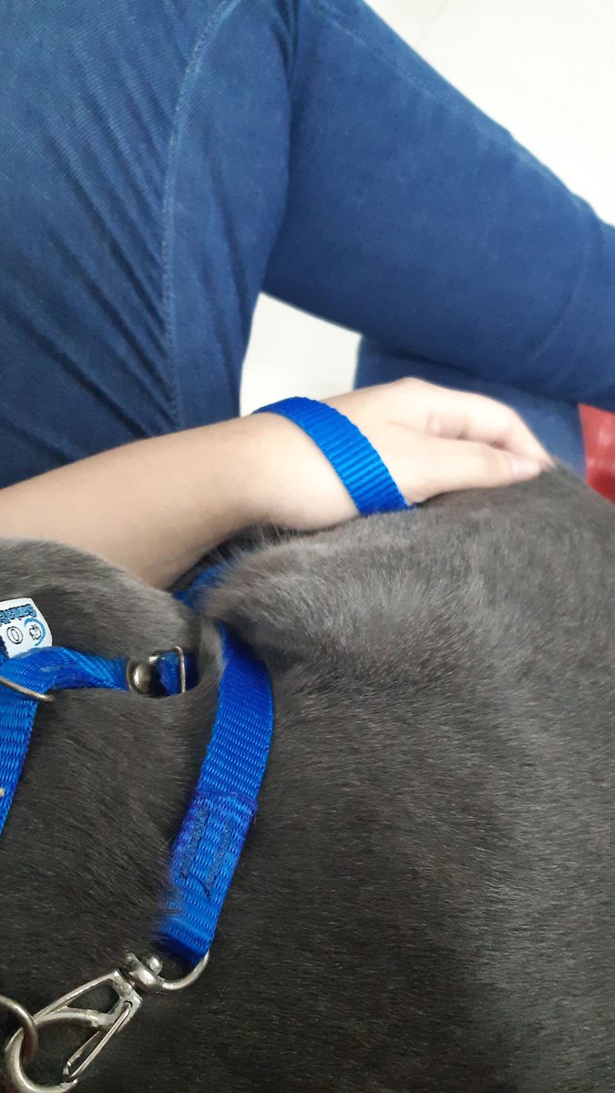 segue uma thread de bastante importância e que qualquer ajuda para o loki será super bem vinda 🌟

(fotos antes da respiração dele piorar e o líquido não estar consumindo todo o pulmão dele)