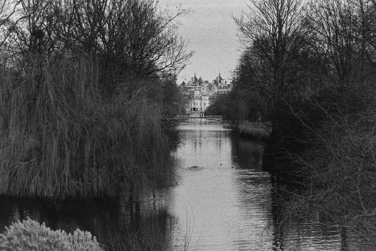 NilsScarbro's tweet photo. St James's Park

#Praktica BC1, Tamron 28-70mm
#BerlinKinoFilm, ISO400, #Rodinal 1+50 13.5 min
#Lomography
#blackandwhitephotography
#filmphotography #believeinfilm
#filmisnotdead #shootitwithfilm https://t.co/Ytt6h709Fs