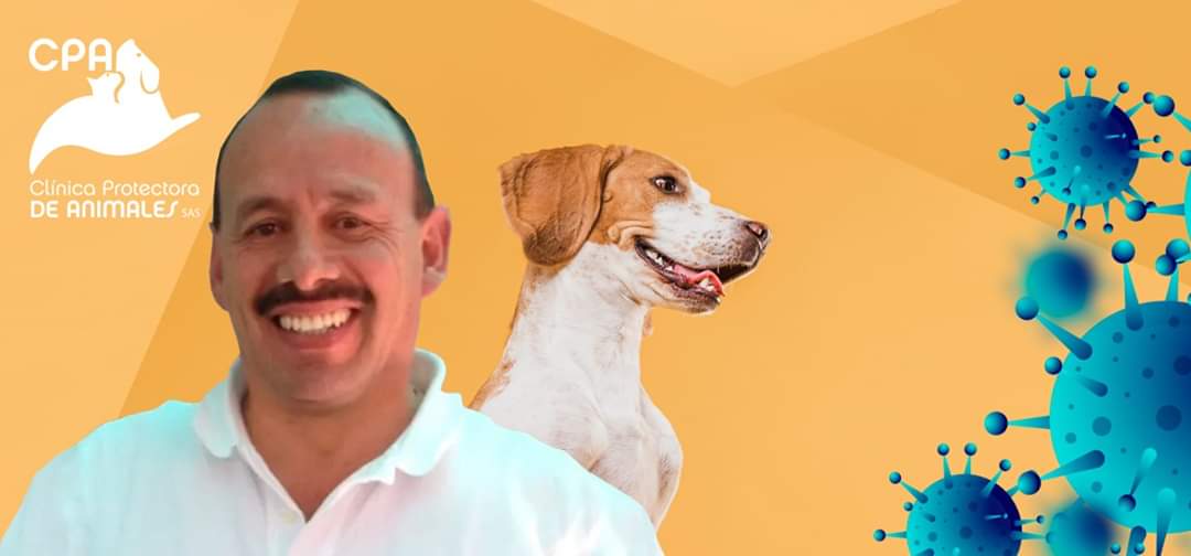 VeterinariaCPA's tweet photo. 𝙉𝙊 𝙇𝙊𝙎 𝘼𝘽𝘼𝙉𝘿𝙊𝙉𝙀, 𝙀𝙎 𝙈𝙀𝙅𝙊𝙍 𝘾𝙐𝙄𝘿𝘼𝙍𝙉𝙊𝙎 𝙏𝙊𝘿𝙊𝙎!!!🐅🐩🐾❤️❤️
Entrevista completa.
https://t.co/mYy4Llzx6q https://t.co/CdAoyjbdIr