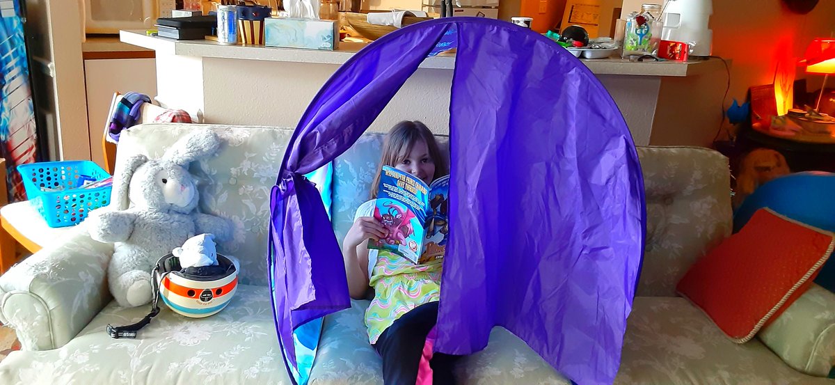 TriCamIRL's tweet photo. #LifeHack
#DreamTent
#read
#kidsbooks https://t.co/yL7eQ2SQzW