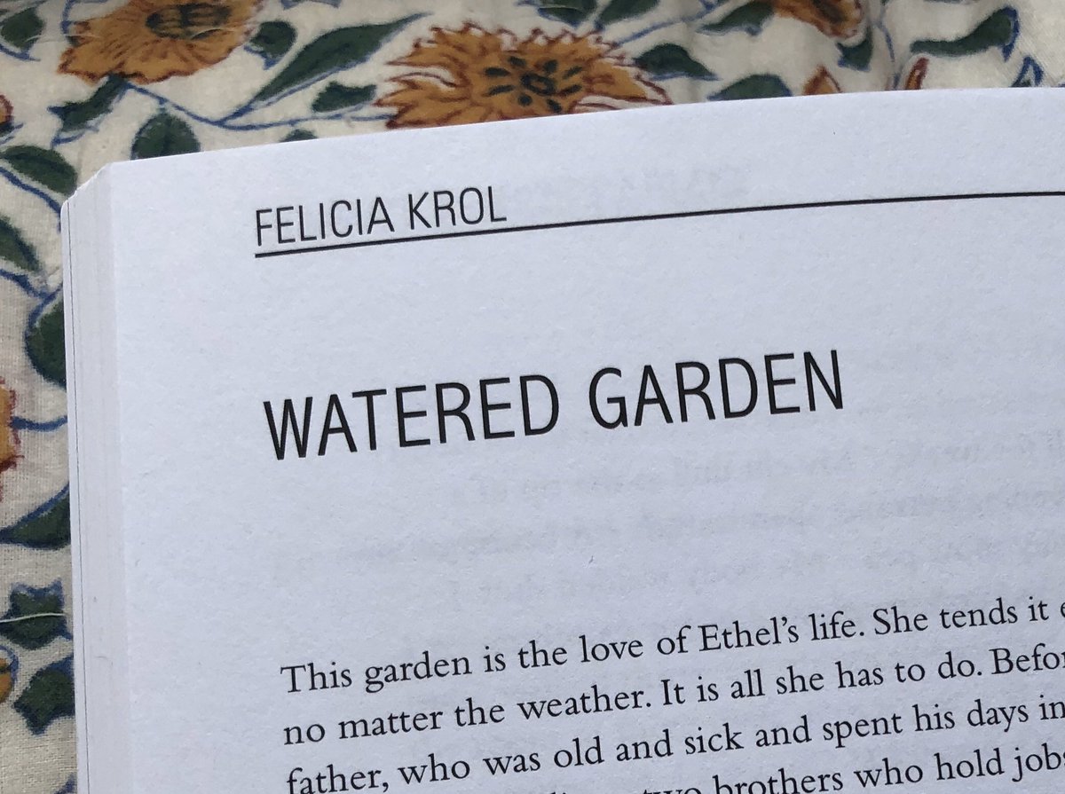 I forgot to post about this before bc of ~everything~ but here’s a story in the latest issue of <a href="/haydensferryrev/">Hayden's Ferry Review</a>. Absolutely loving the work in this 💙