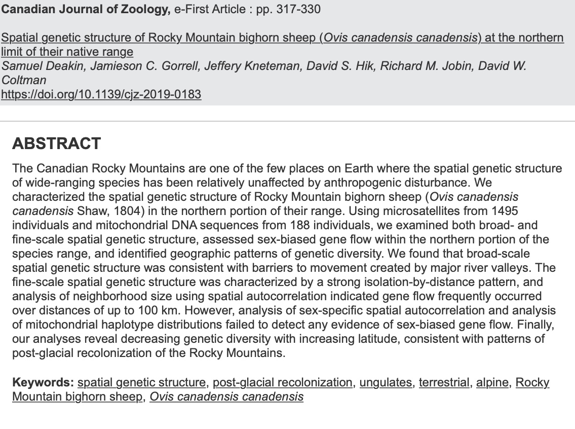 New paper out of our lab examining the spatial genetic structure of Rocky Mountain bighorn sheep in Alberta and British Columbia.