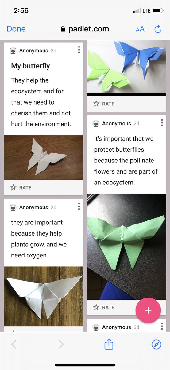 Doan_ScienceSS's tweet photo. Discovering the importance of protecting species in ecosystems by learning how to fold origami butterflies together and reflecting on why they are important to Taiwan. #CISDRocks #Greenwaysintermediate #6thsciss #Padlet #virtuallearning https://t.co/iKce4SzwZD