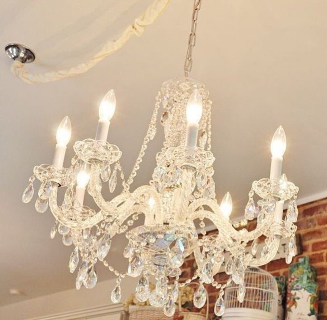 powerlitpy's tweet image. 