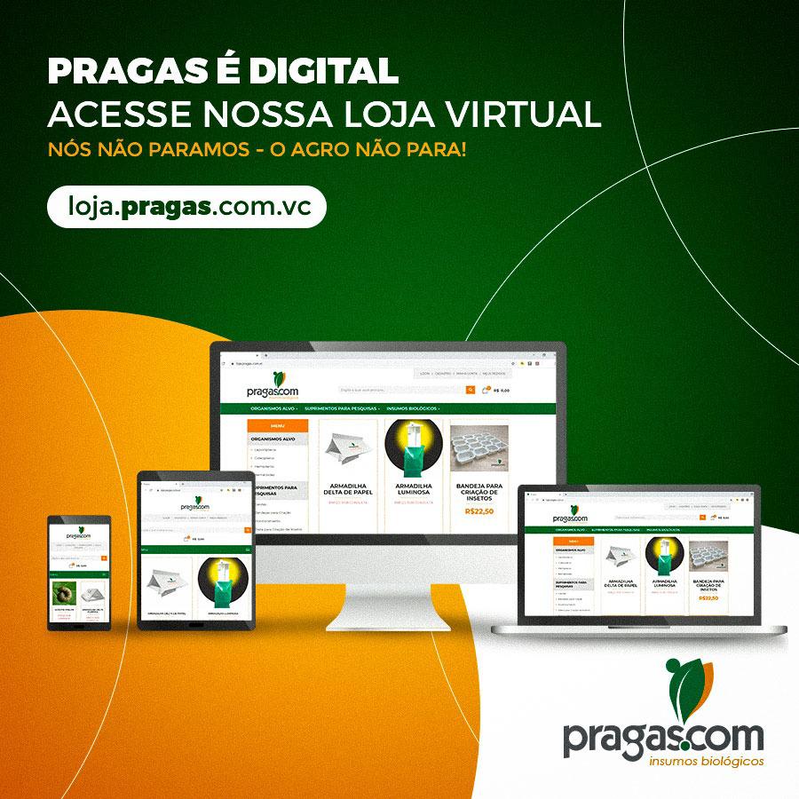 ➡Conheça nosso portfólio completo de produtos através da nossa loja virtual! 
📲Acesse: loja.pragas.com.vc

✅O Agro não para! Estamos cada vez mais digitais e conectados! 

#agro #agricultura #pragasagricolas #controlebiologico #oagronaopara #digital #lojavirtual