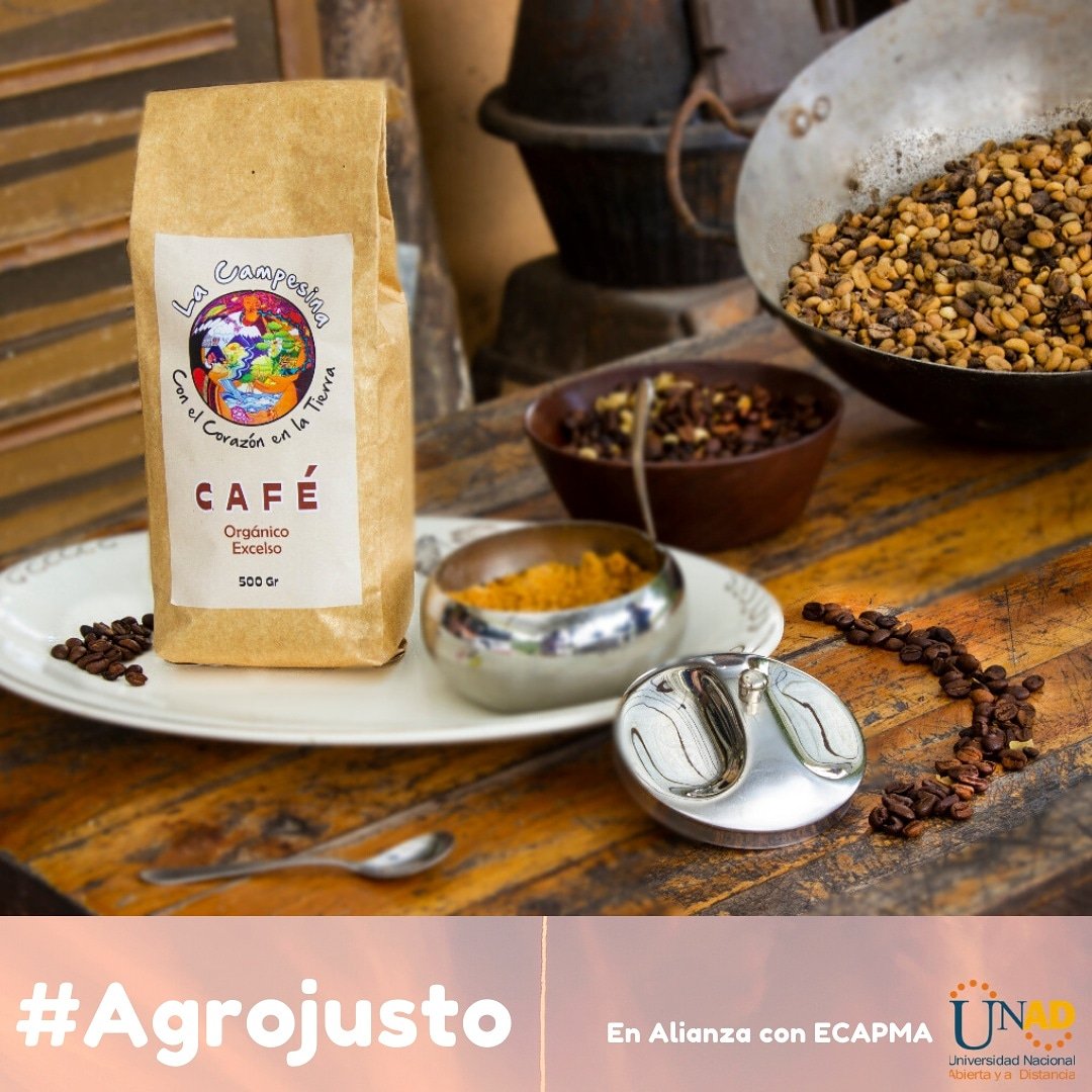 CAMPOUNAD tweet media