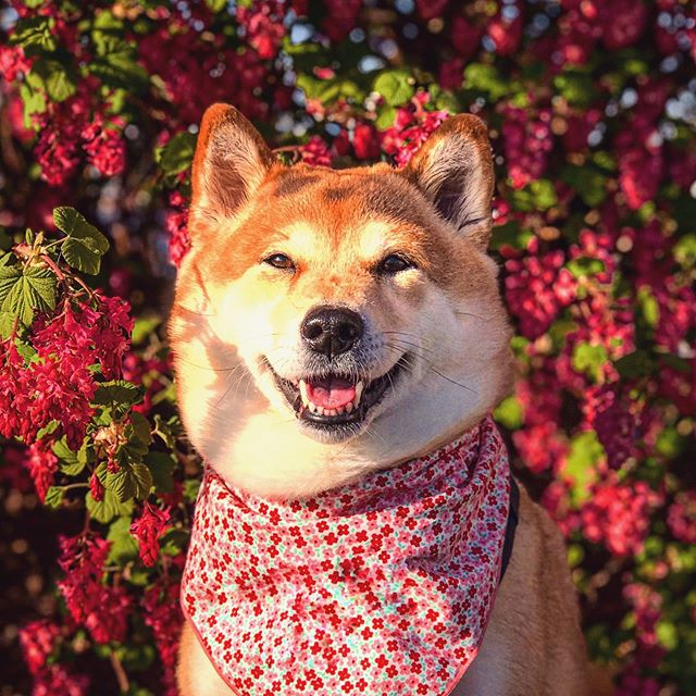 Destination Vancouver tweet media