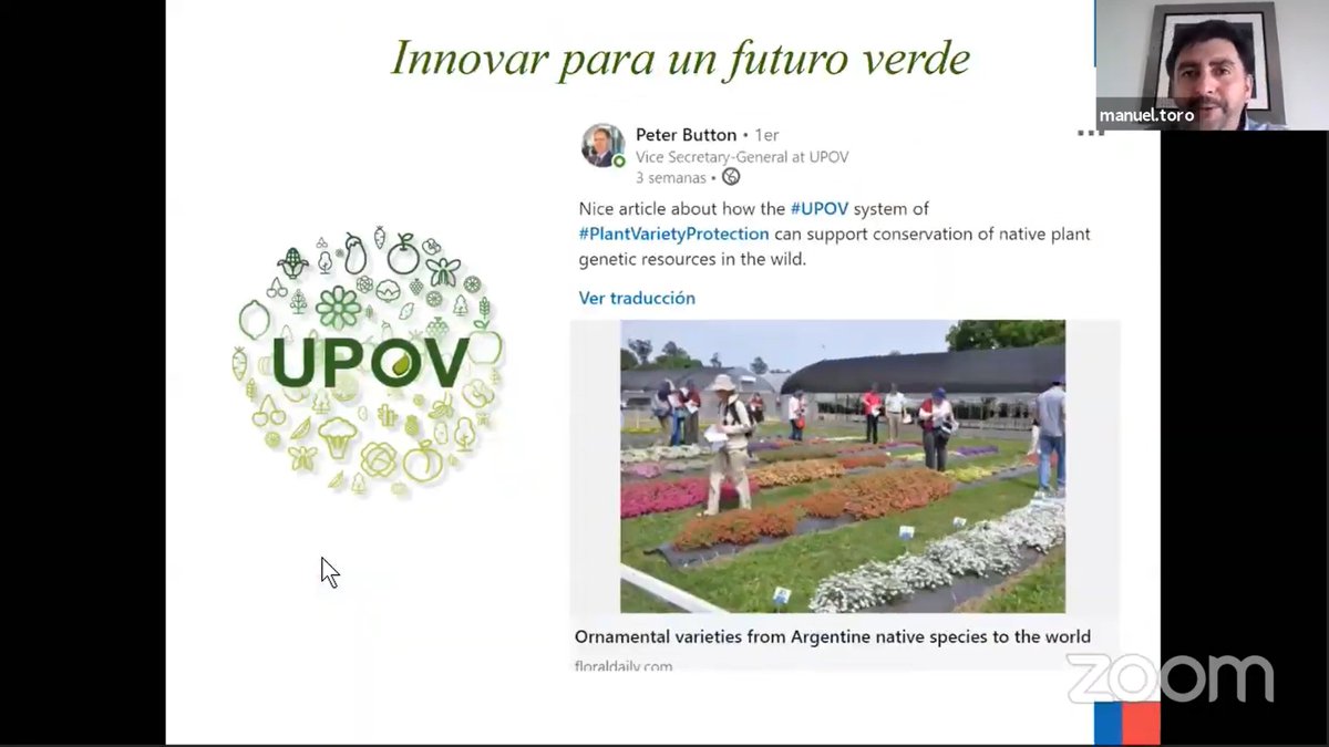 SomosELAPI's tweet photo. Explica Manuel Toro cómo desde las Obtenciones Vegatales se puede Innovar para un futuro verde, avanza el #SeminarioELAPI sigue en https://t.co/3eSq9VNtfw #WorldIPDay https://t.co/ViYFQSIsD0