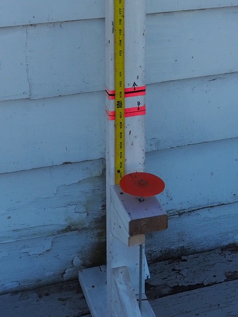 QCYC Toronto tweet media