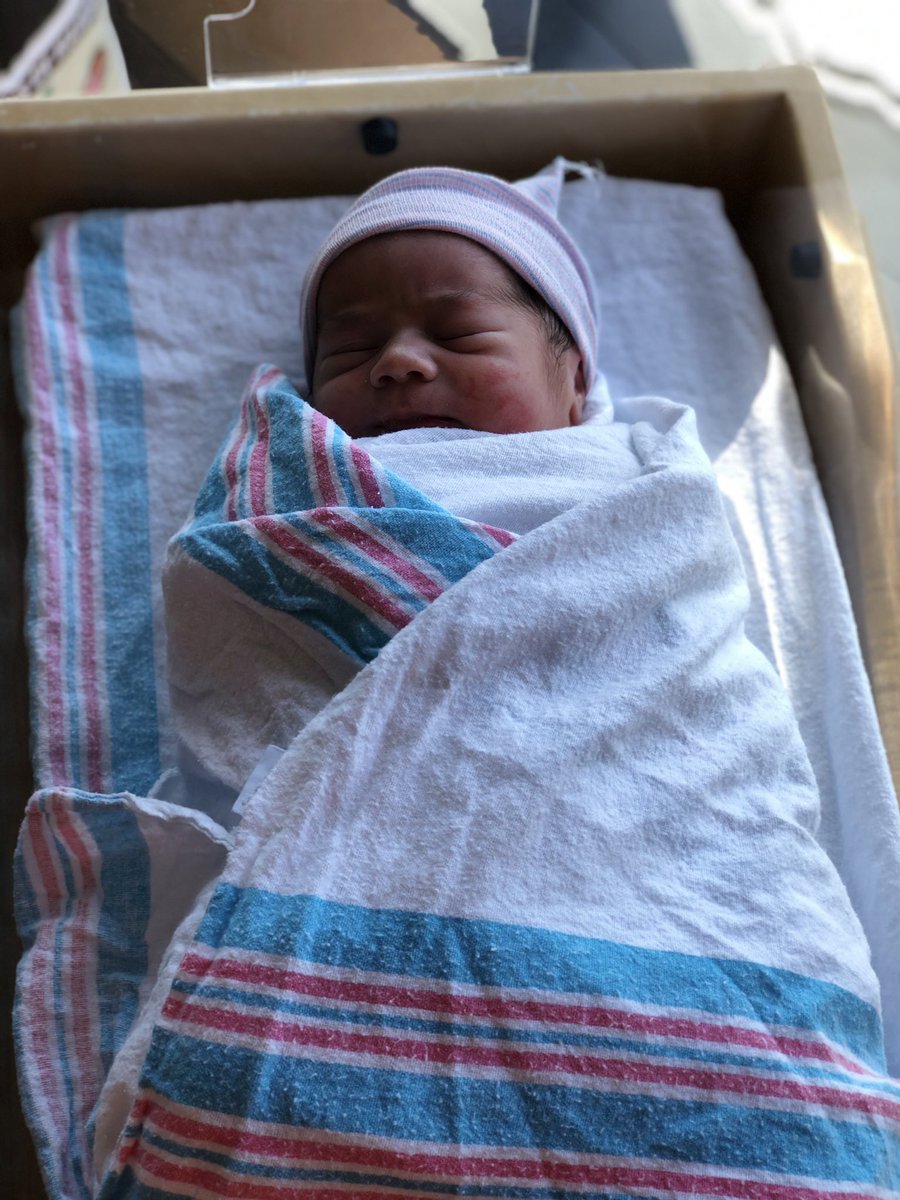 TylerChapyy's tweet image. lil chappy is here everyone!