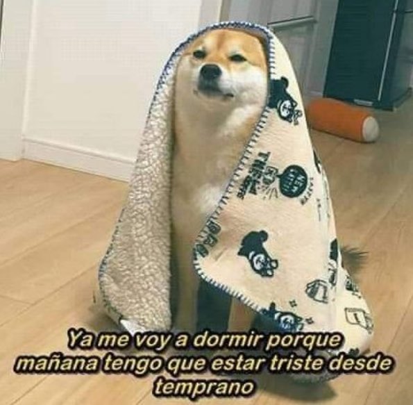 skereunpesado's tweet photo. https://t.co/26bNdRjx25