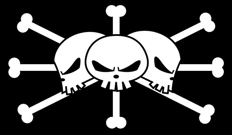 Monkey D Bee Barbe Noire A 3 Armes A Feu Le Drapeau Blackbeard Pirates Comporte 3 Cranes Et Nous Savons Tous Qu Un Drapeau Pirate Decrit Le Capitaine T Co 4hicwzl6du