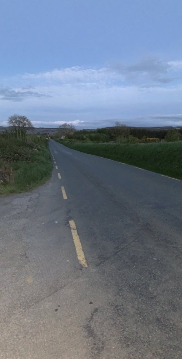 Shane McAuliffe 🐷✈️ tweet media